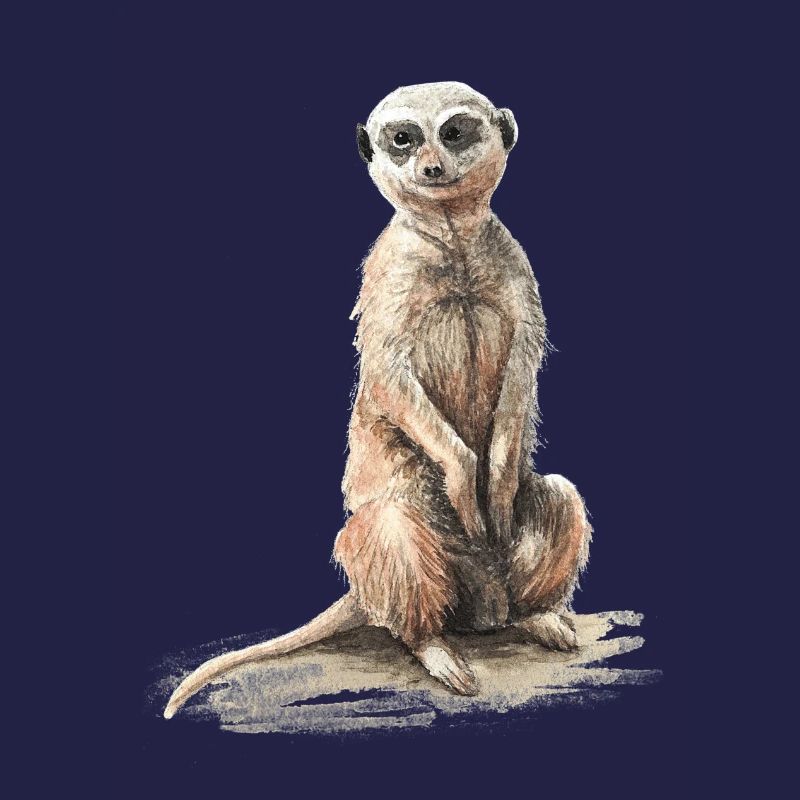 Erdmännchen