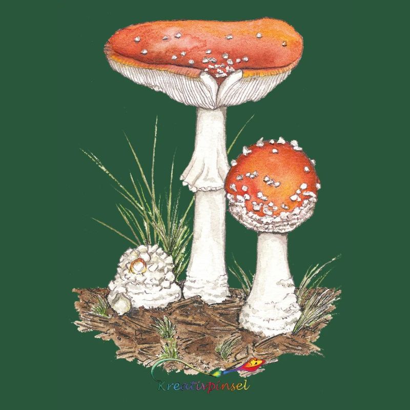 Toadstool