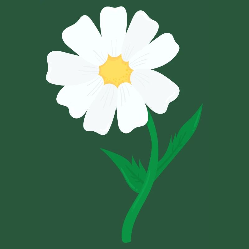 Gänseblümchen