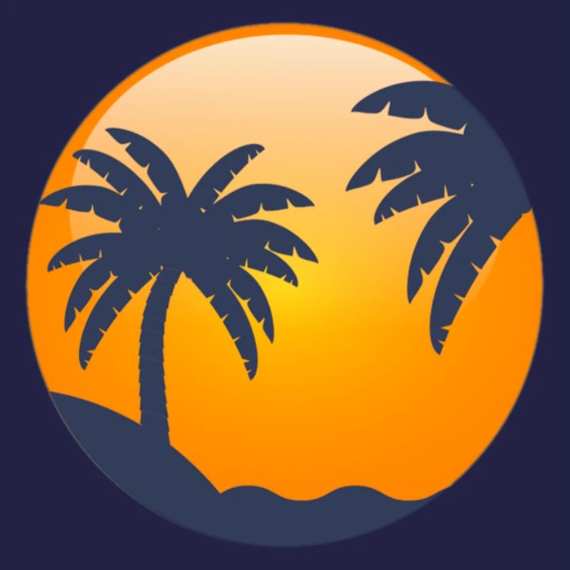 Sun behind palm trees