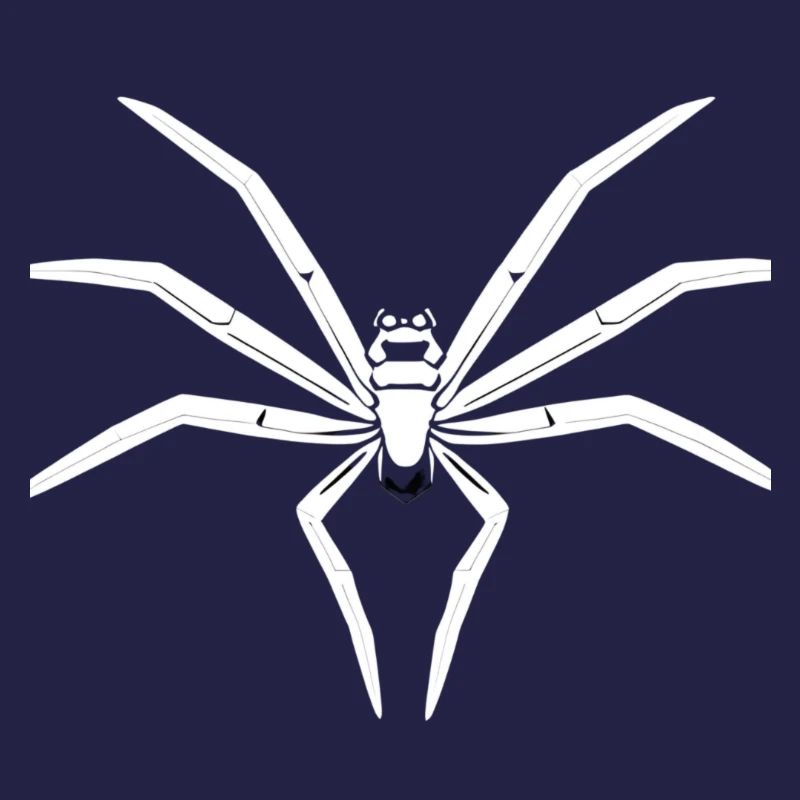 Faszinierende Tarantel Spinne