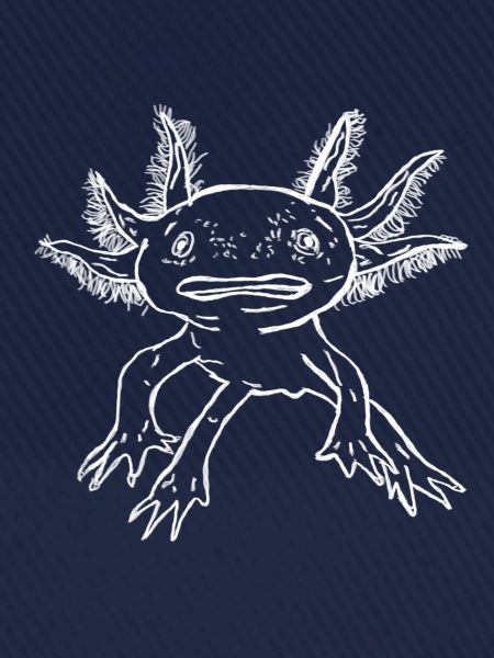 Axolotl
