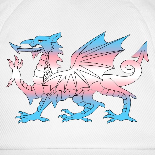 Wales Trans Flag, Baner Trans Cymru, Transgender