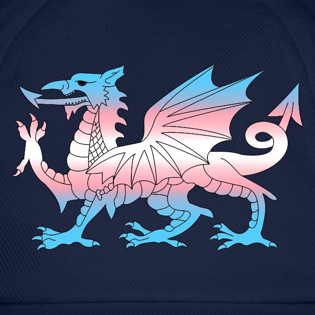 Wales Trans Flag, Baner Trans Cymru, Transgender