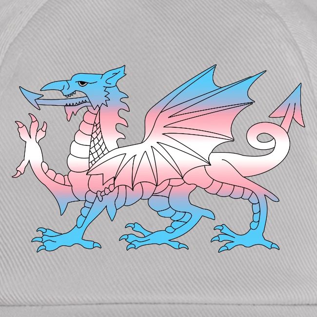 Wales Trans Flag, Baner Trans Cymru, Transgender