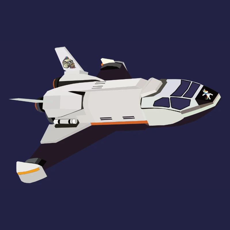 Vol de la navette spatiale