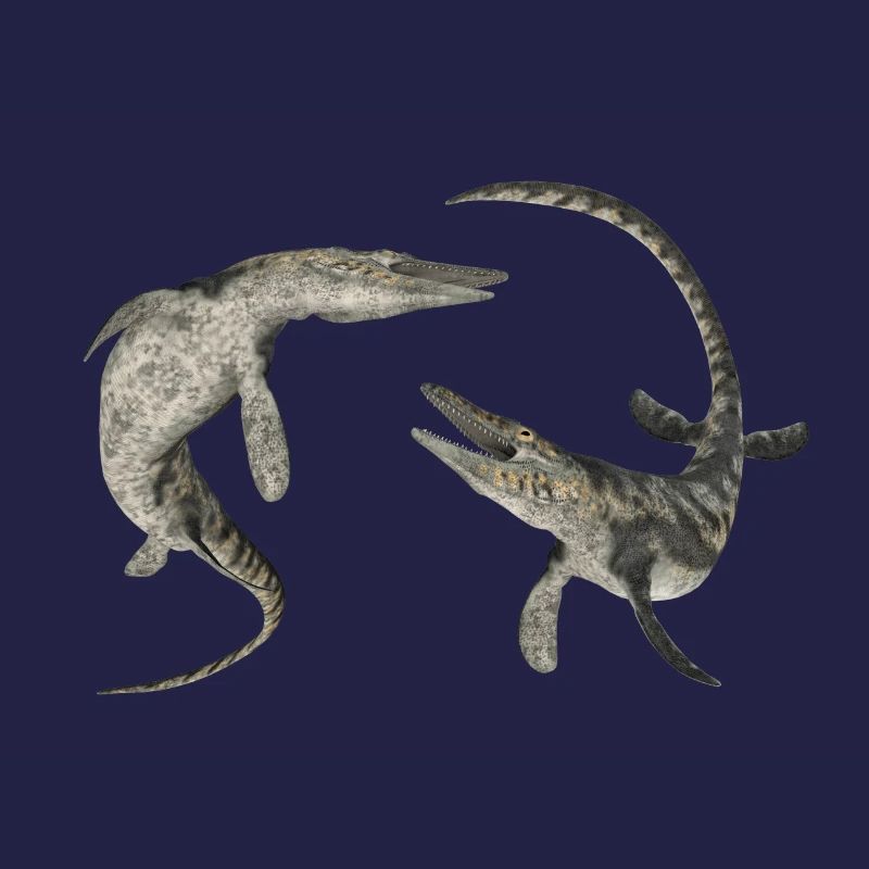 Mosasaur Tylosaurus
