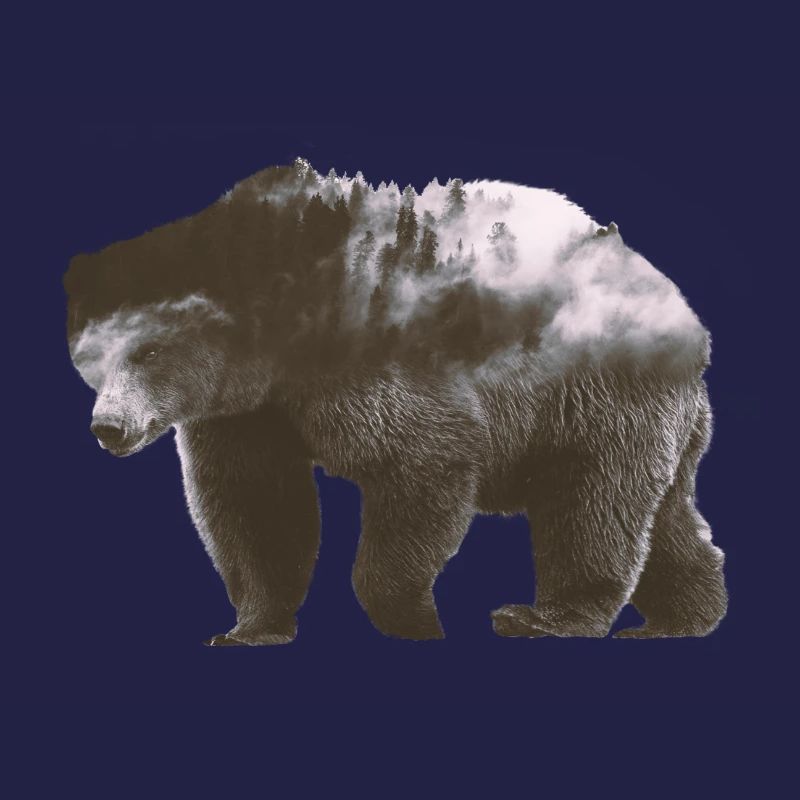 Bär