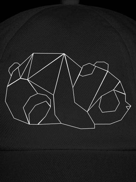Geometrie Panda