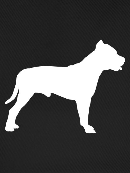 Pitbull