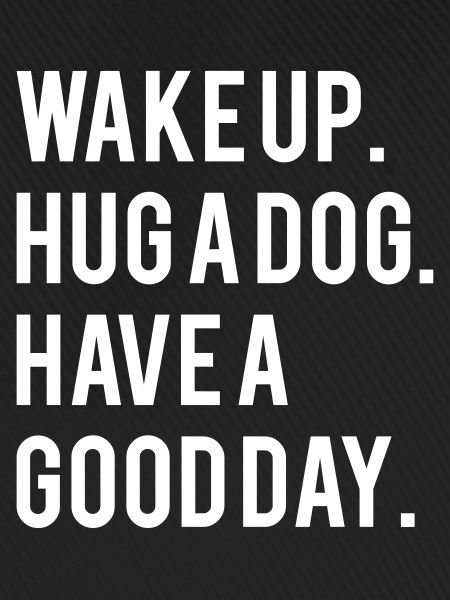 Wake up hug a dog