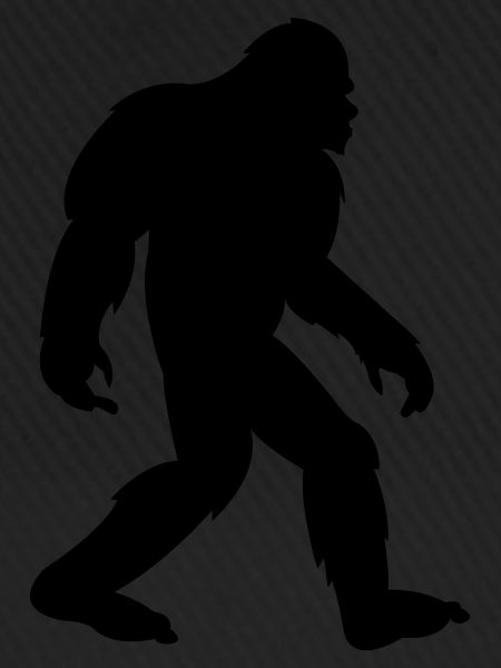 big foot