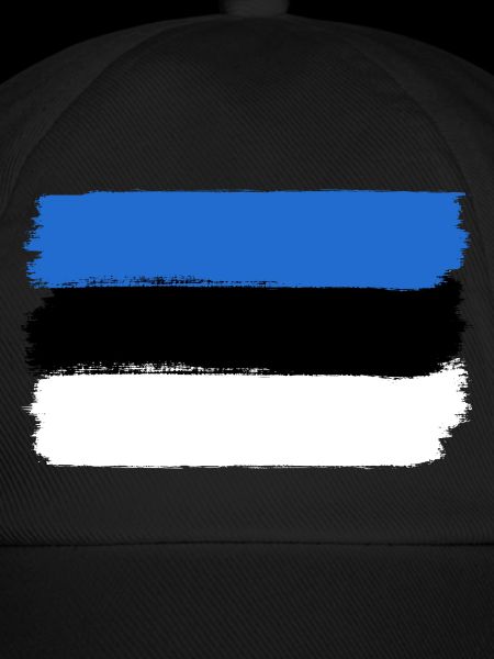 Estland Flagge used look