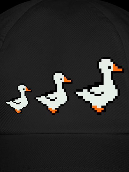 pixel enten