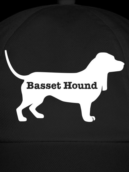 Basset Hound
