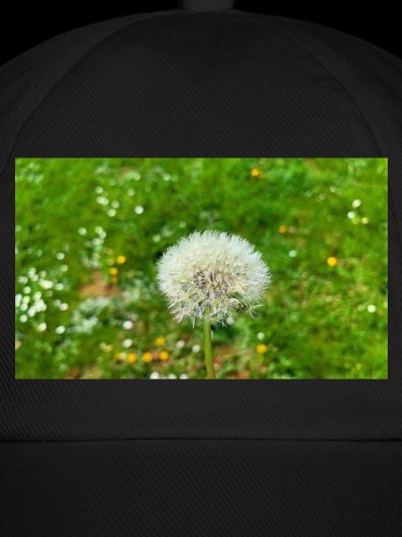 Pusteblume