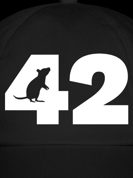 42 - Maus