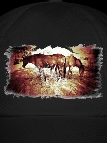 Horses