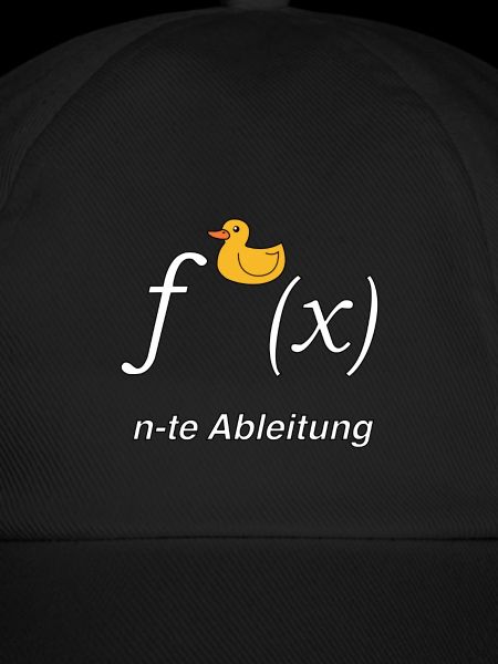 Ente Ableitung Mathe Witz