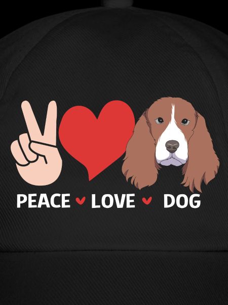 Springer Spaniel Hund