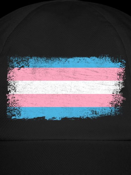 Transgender Flagge