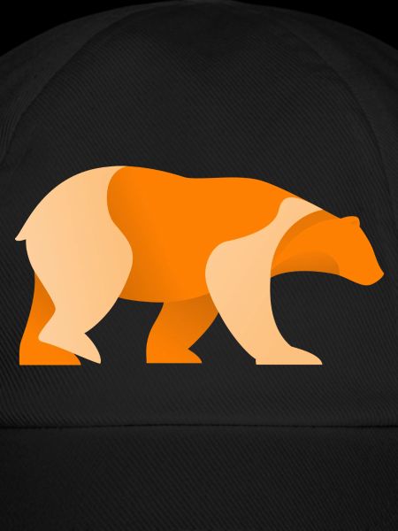 Bär Logo