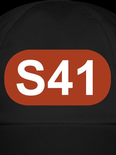 S-Bahn Berlin S41