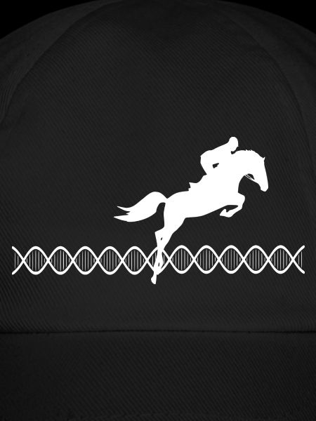 DNA Springreiten