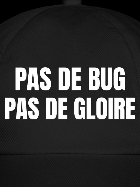 Pas de bug pas de gloire