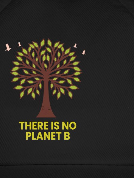 no planet b