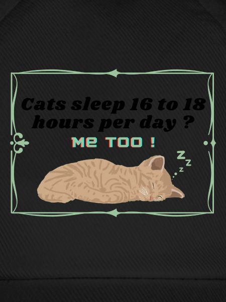 cats sleep