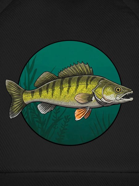 Zander Angeln Raubfisch Fischen