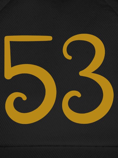 53