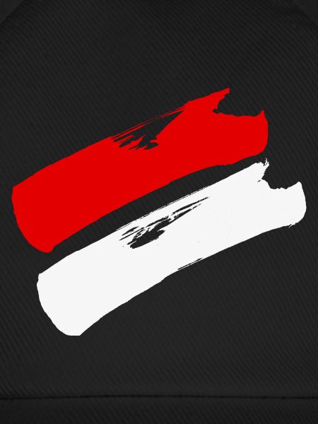 Hessen Flagge / Pinselstriche