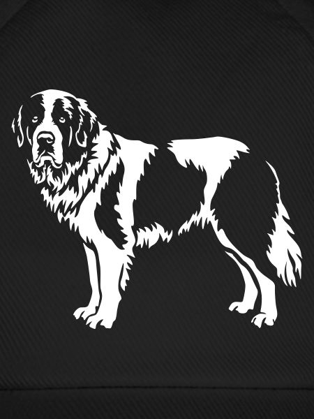 Landseer "Black Edition"