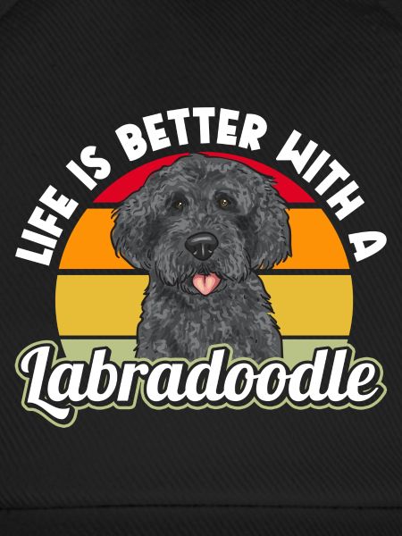 Labradoodle Hund