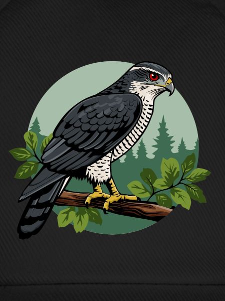 Habicht Greifvogel Vogel Falkner