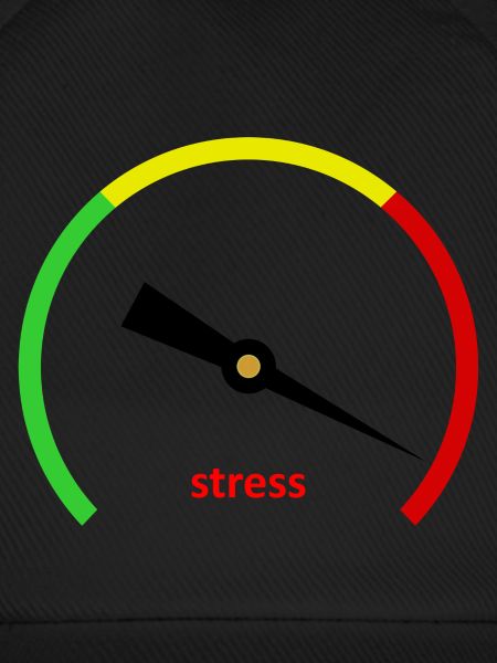 Stress-o-Meter