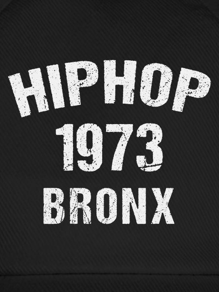 HipHop Bronx 1973