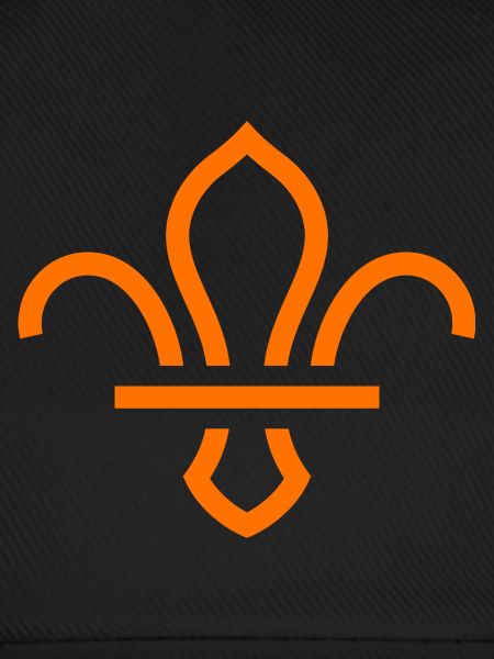 Fleur de Lis