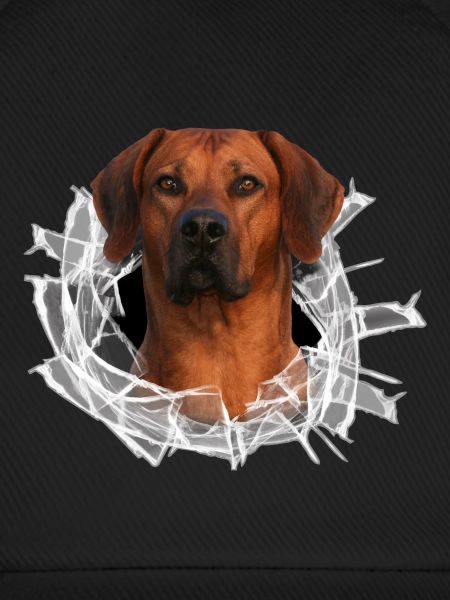 Rhodesian Ridgeback auf Glas