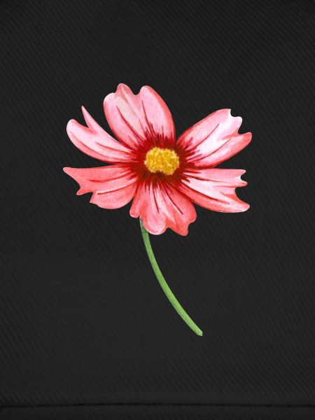Blume