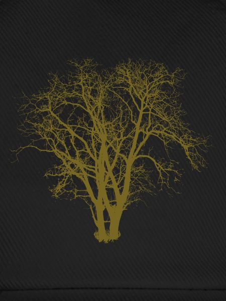 Baum