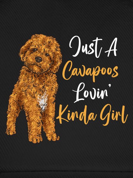 Cavapoo Cavoodle Capoodle Hund