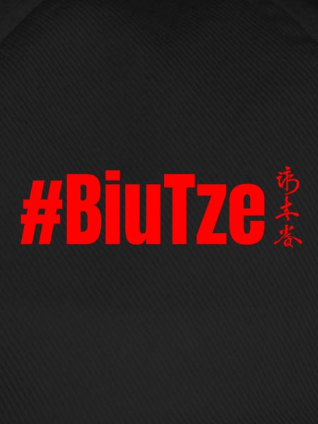WingTsun BiuTze