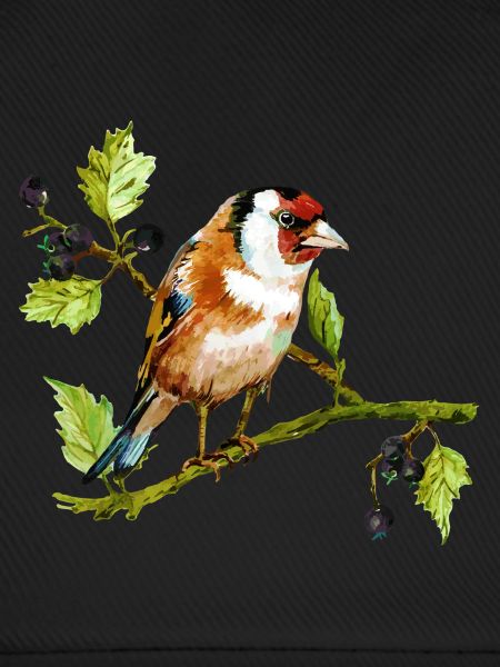 Vogel