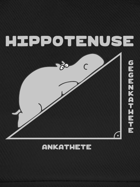 Hippotenuse (Flusspferd-Und-Pythagoras-Edition)
