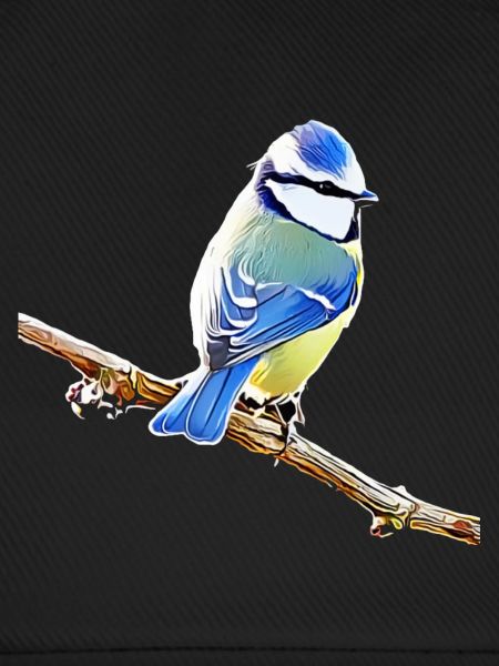 Blau – Vogelillustration