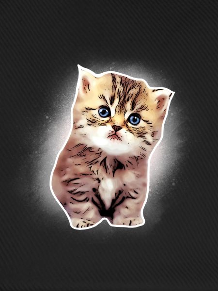 Baby katze