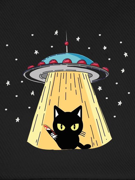 UFO Katze mit Laserblick